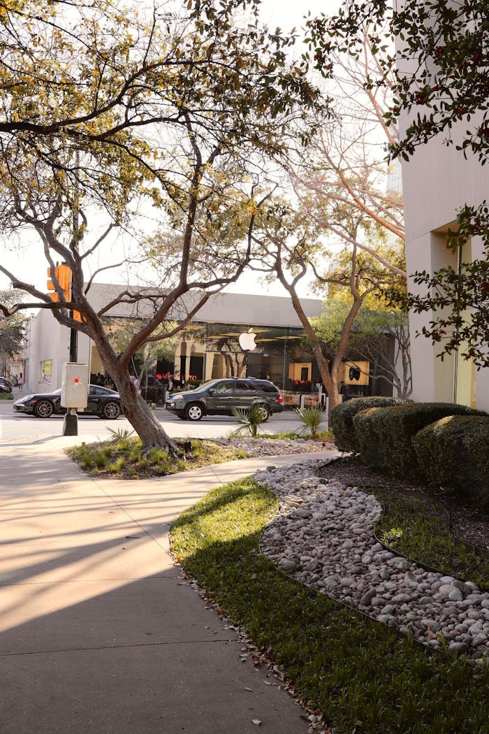 Urban street view featuring the Apple Store in Dallas, TX with trees and sidewalks.